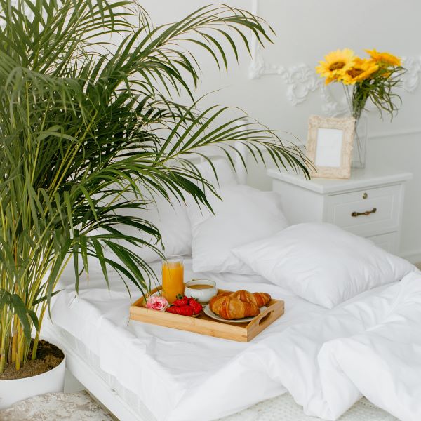 Guide to Creating a Relaxing Summer Bedroom Sanctuary