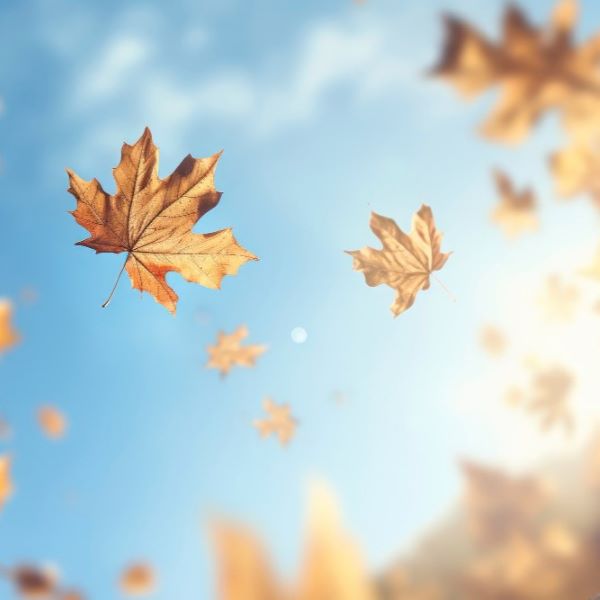Embracing the Golden Season: A Guide to Welcoming Autumn's Arrival